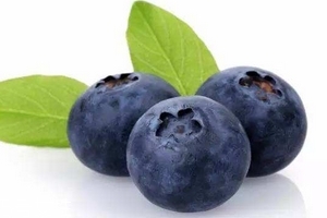 花青素和维c精华油能美白吗,花青素能美白吗 花青素和维c精华油能美白吗,花青素能美白吗