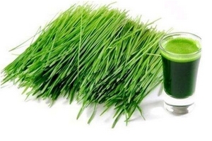 大麦若叶青汁降血压吗?,大麦若叶青汁能降血压吗