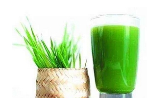 大麦若叶青汁能加蜂蜜喝吗,大麦若叶青汁可以加糖吗