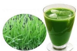大麦若叶青汁是寒性的吗?,大麦若叶青汁属于寒性吗