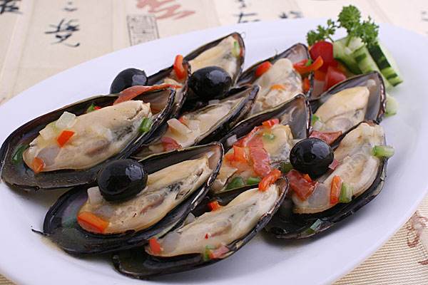 青口贝的功效和作用,青口贝的营养价值及功效