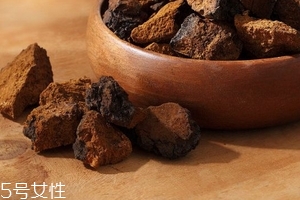 桦树茸是树黄吗,桦树茸和桦树黄一样吗