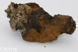 桦树茸是中药吗,桦树茸是中药吗中药房有卖吗