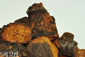 桦树茸黑精怎样泡水喝,桦树茸怎样煮水喝