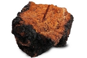 桦树茸怎么吃效果好,桦树茸有什么功效