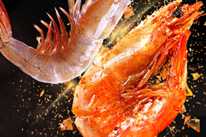 虾的虾红素在哪个部位,虾红素是什么东西