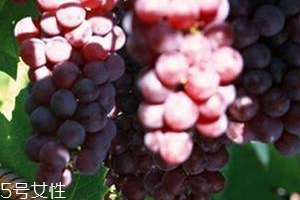 葡萄籽嚼着吃还是整个吃,葡萄籽能嚼碎直接吃吗