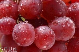 葡萄籽可以空腹吃吗,葡萄籽空腹吃还是饭后吃
