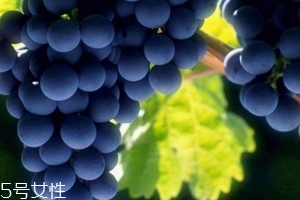 长期服用葡萄籽会发胖吗,葡萄籽会发胖吗