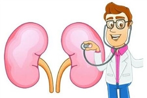 肾病患者低蛋白饮食食谱,慢性肾炎病人采用优质低蛋白饮食的目的是 肾病患者低蛋白饮食食谱,慢性肾炎病人采用优质低蛋白饮食的目的是