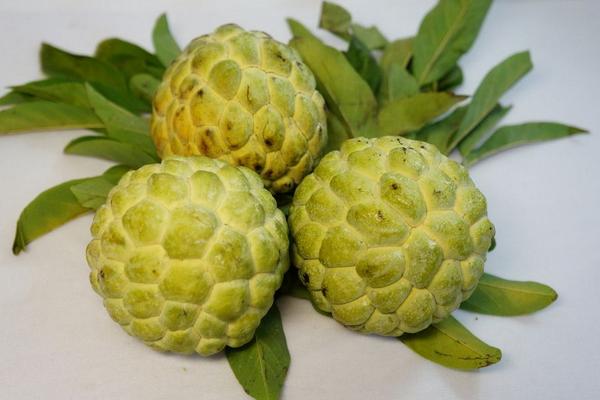 释迦果的热量高吗,释迦是高热量水果吗