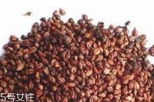 葡萄籽是饭前吃还是饭后吃比较好,葡萄籽是饭前吃还是饭后吃?