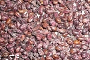 葡萄籽可以祛斑吗,葡萄籽胶囊可以祛斑吗