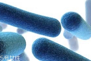 葡萄藤茶的功效和作用,葡萄籽的功效和作用及副作用