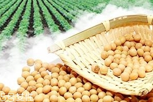 卵磷脂可以和钙片一起吃吗,钙和卵磷脂一起服用吗