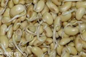 卵磷脂含量高的食物排行榜,卵磷脂的功效和作用及食用方法