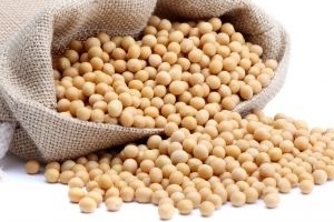 什么食物里卵磷脂含量高,卵磷脂可以减肥吗 什么食物里卵磷脂含量高,卵磷脂可以减肥吗