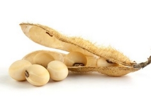 卵磷脂晚上睡觉之前可以吃吗,卵磷脂早上吃还是晚上吃 卵磷脂晚上睡觉之前可以吃吗,卵磷脂早上吃还是晚上吃