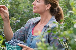 蓝莓叶黄素和鱼肝油哪个对眼睛好,叶黄素和鱼肝油哪个对眼睛好一点