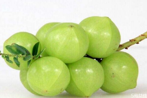 余甘子又叫什么,余甘子的用途