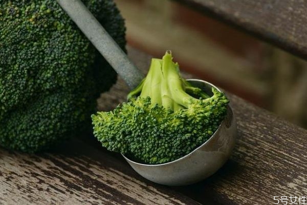 西兰花生长环境要求,西兰花种植条件