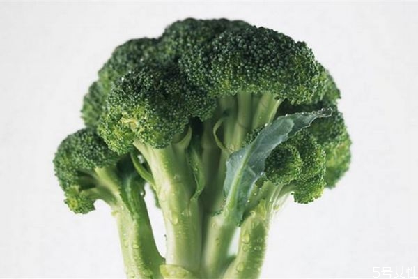 吃西兰花可以减肥吗,减脂为什么吃西兰花 吃西兰花可以减肥吗,减脂为什么吃西兰花