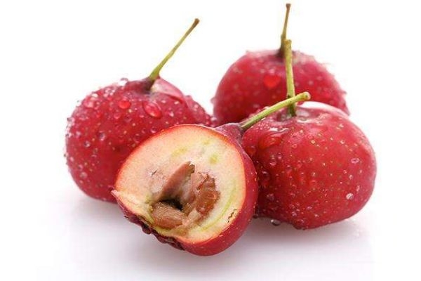 山楂几月份成熟期,山楂成熟季节是几月份