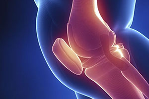 维骨力的功效作用,维骨力的功效和作用