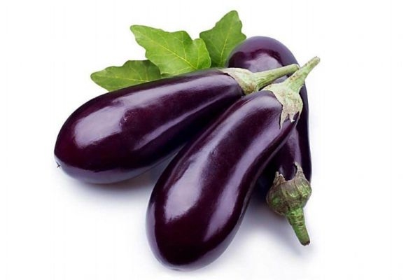 茄子的生长温度,茄子在哪里生长 茄子的生长温度,茄子在哪里生长