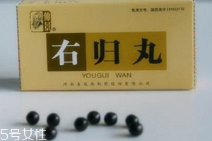 右归丸治什么病,中药右归丸能治什么病