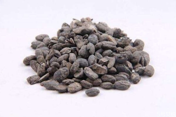 淡豆鼓是什么意思,淡豆鼓功效和作用点