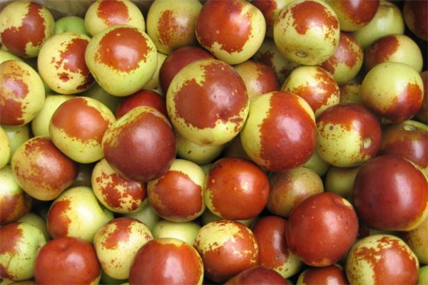 冬枣软了还能吃吗,冬枣变软了还能吃吗