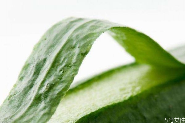 黄瓜皮的营养价值,黄瓜皮有营养吗 黄瓜皮的营养价值,黄瓜皮有营养吗