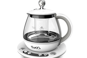 燕窝养生壶,养生壶的哪个功能适合炖燕窝