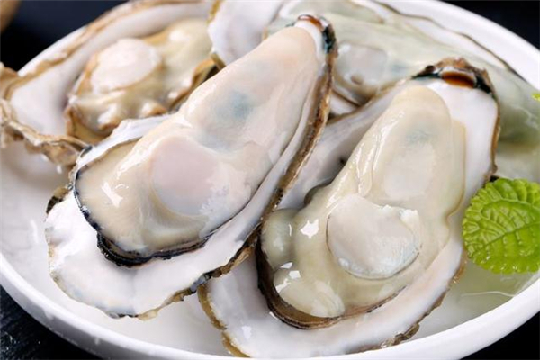 海蛎子冷藏还是冷冻保存,海蛎应该冷冻还是冷藏