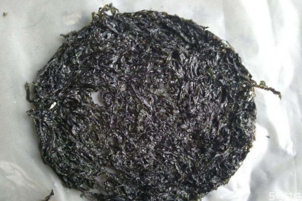 紫菜是菜吗,紫菜为啥叫紫菜