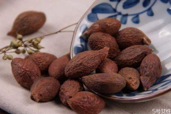 什么牌子的胖大海,胖大海为啥叫胖大海