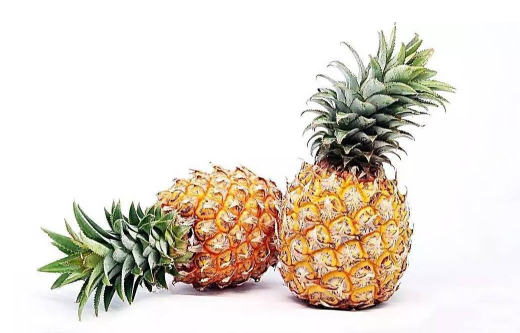 吃菠萝烂嘴角怎么回事,吃菠萝嘴角烂了