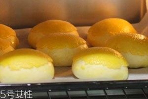 烤箱用什么容器最安全,哪款烤箱好