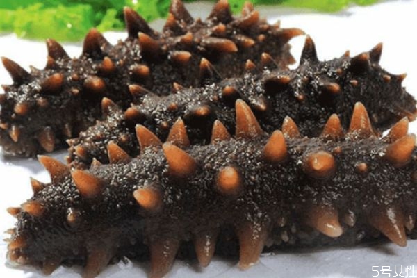 海参怎么吃有营养最好,怎么吃海参最有营养 海参怎么吃有营养最好,怎么吃海参最有营养