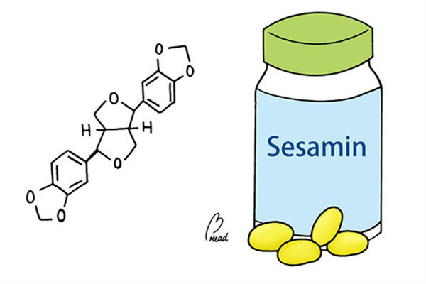 芝麻素是什么成分,芝麻素是什么意思