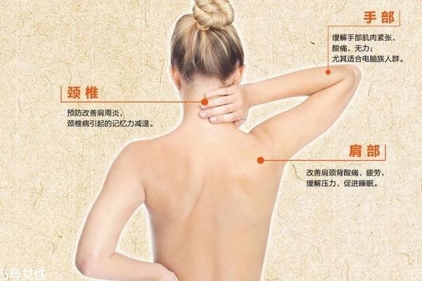 副交感神经释放递质,让副交感神经兴奋