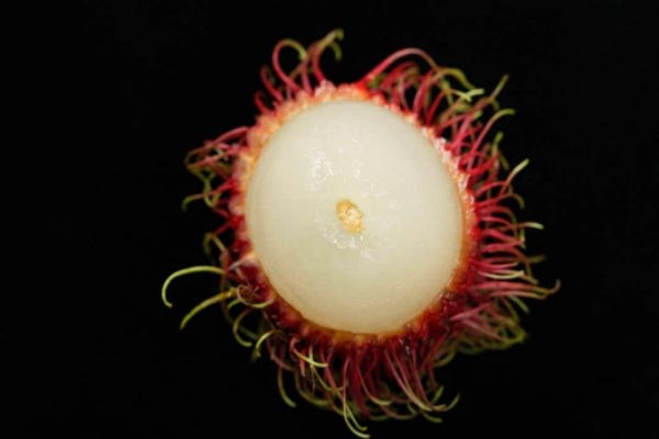 红毛丹的产地,红毛丹哪里产的