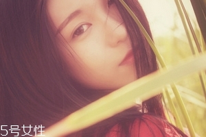 鹿胎膏能天天吃吗,鹿胎膏可以随便吃吗