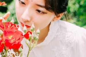 高血压可以吃胎盘吗?,高血压可以吃人胎盘吗