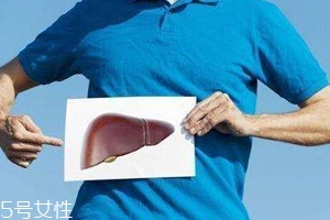 丙肝3d方案,肝的3D模型 丙肝3d方案,肝的3D模型