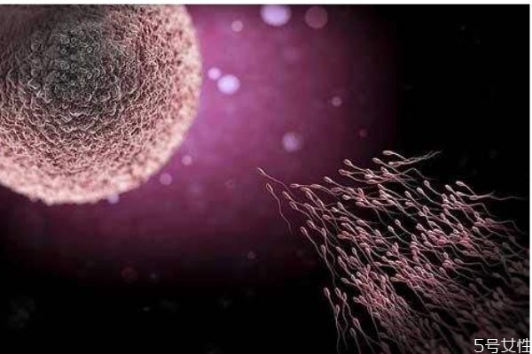 补佳乐排卵期能吃吗,排卵后可以吃补佳乐吗