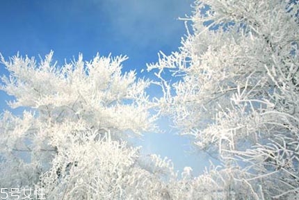 三伏天是什么意思,为啥叫三伏天,三九天是什么意思?