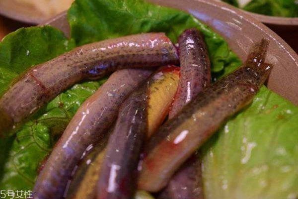 泥鳅有啥营养价值,泥鳅的营养价值和药用价值