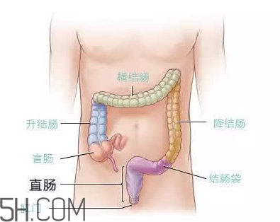 宿便对身体有什么危害,宿便的危害有哪些 宿便对身体有什么危害,宿便的危害有哪些